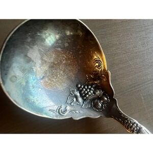 1881 Rogers A1 Silverplate Sugar Shell Spoon Vintage Grape Pattern Silver